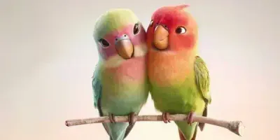 Тест на кохання: чи сумісні ви зі своїм партнером?